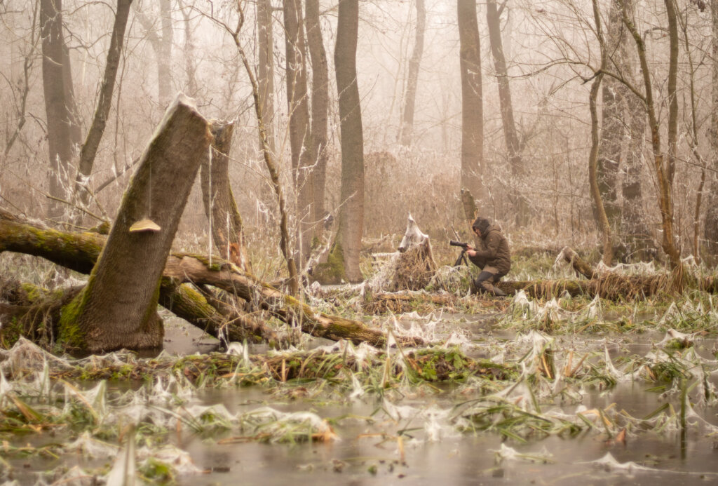 The Endless Forest A Documentary Globalgiving